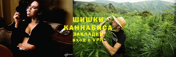 крисы Братск