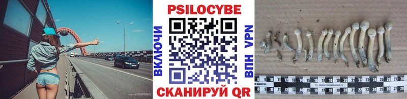 Галлюциногенные грибы MAGIC MUSHROOMS Новотитаровская